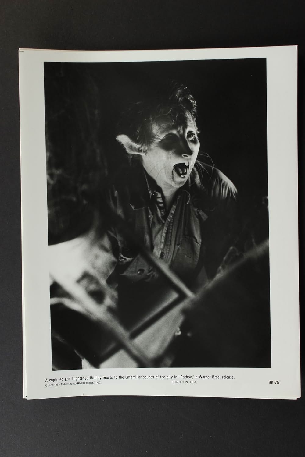 ラットボーイの画像