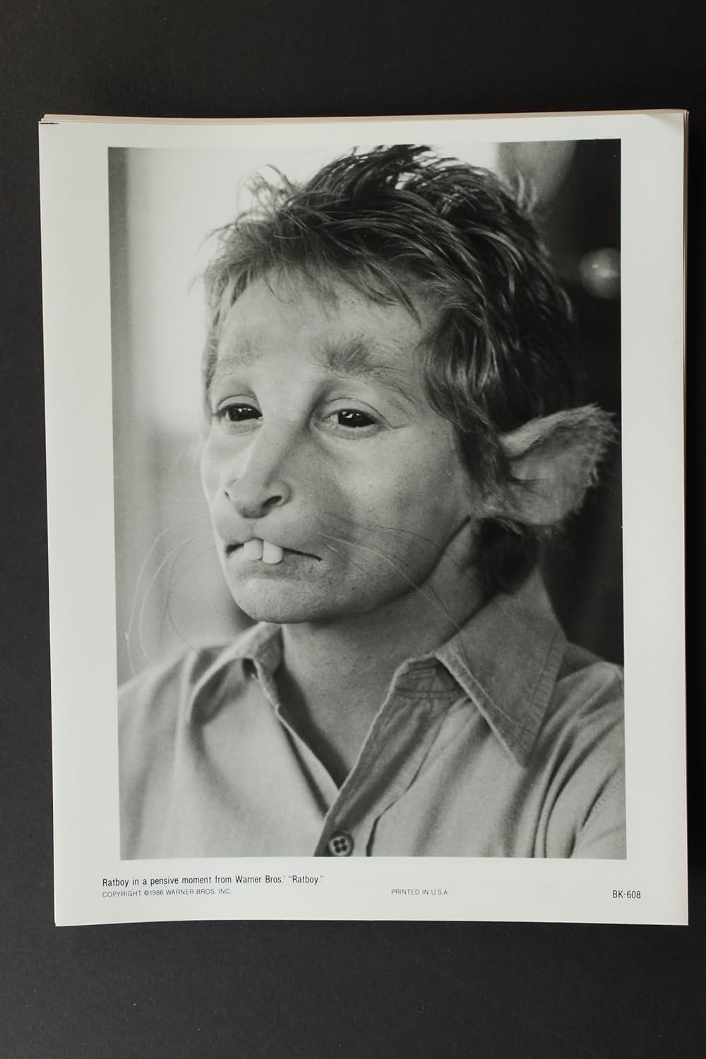 ラットボーイの画像