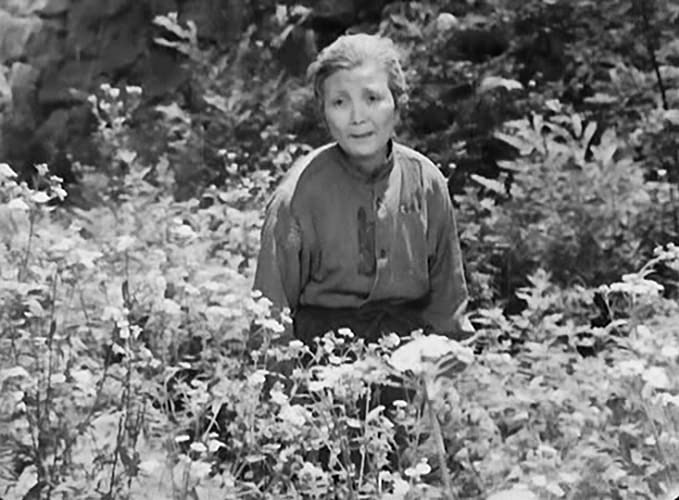 原爆の子の画像