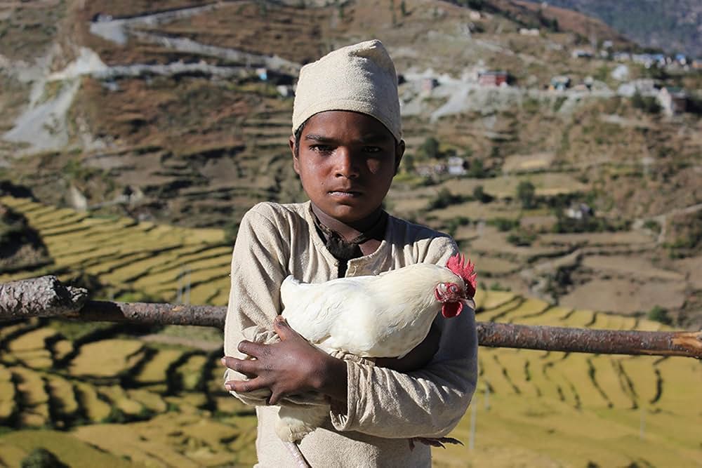 黒い雌鶏の画像