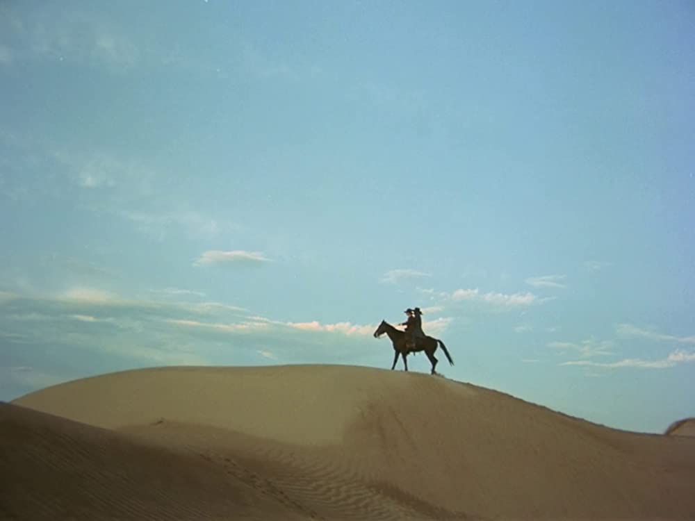 エル・トポの画像