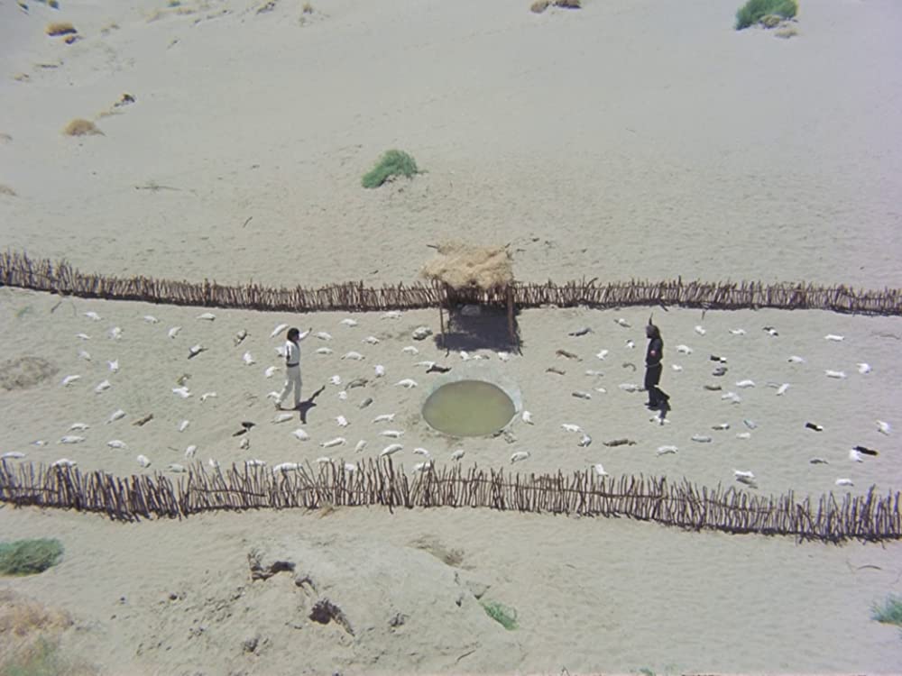 エル・トポの画像