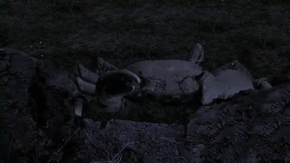 ビッグ・クラブ・パニックの画像