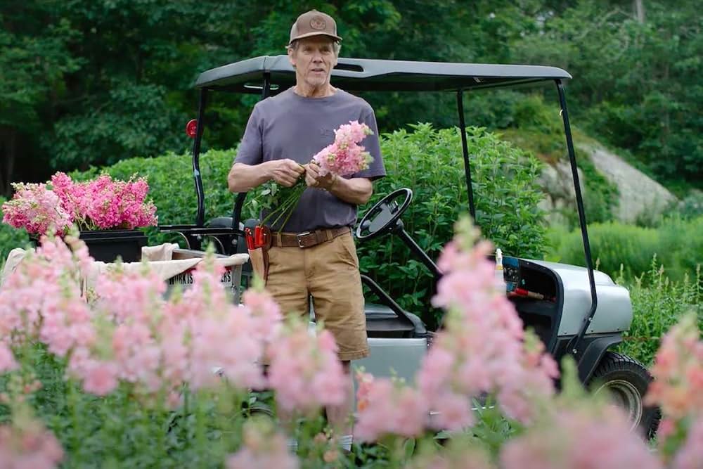 Space Oddity（原題）の画像