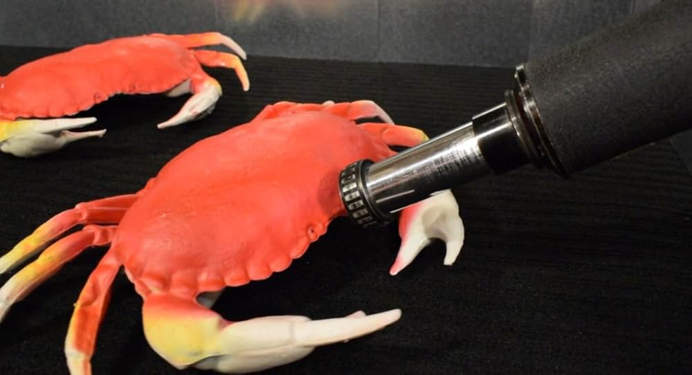 ええっ？キメたカニの画像