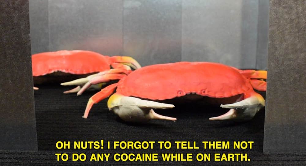 ええっ？キメたカニの画像