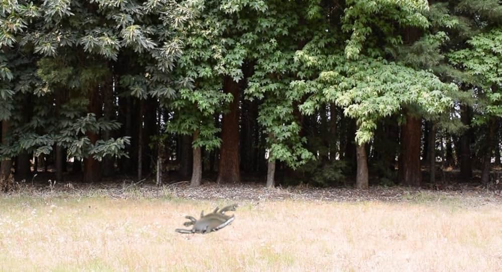 ええっ？キメたカニの画像