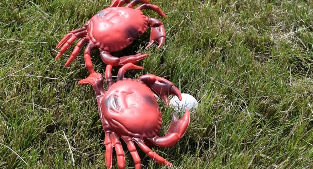 ええっ？キメたカニの画像