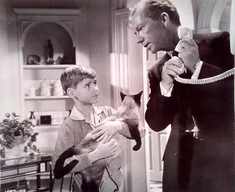 黒い肖像の画像