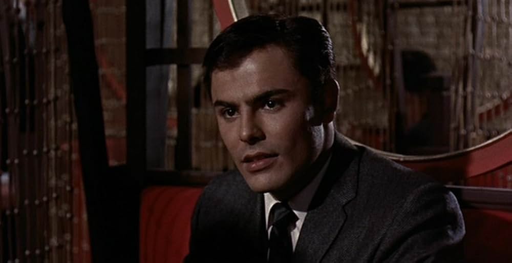 黒い肖像の画像