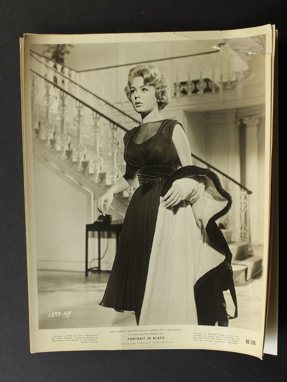 黒い肖像の画像