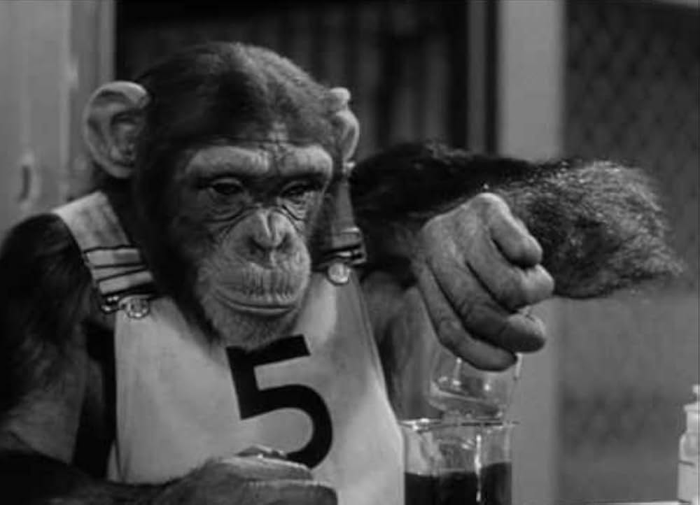 モンキー・ビジネスの画像