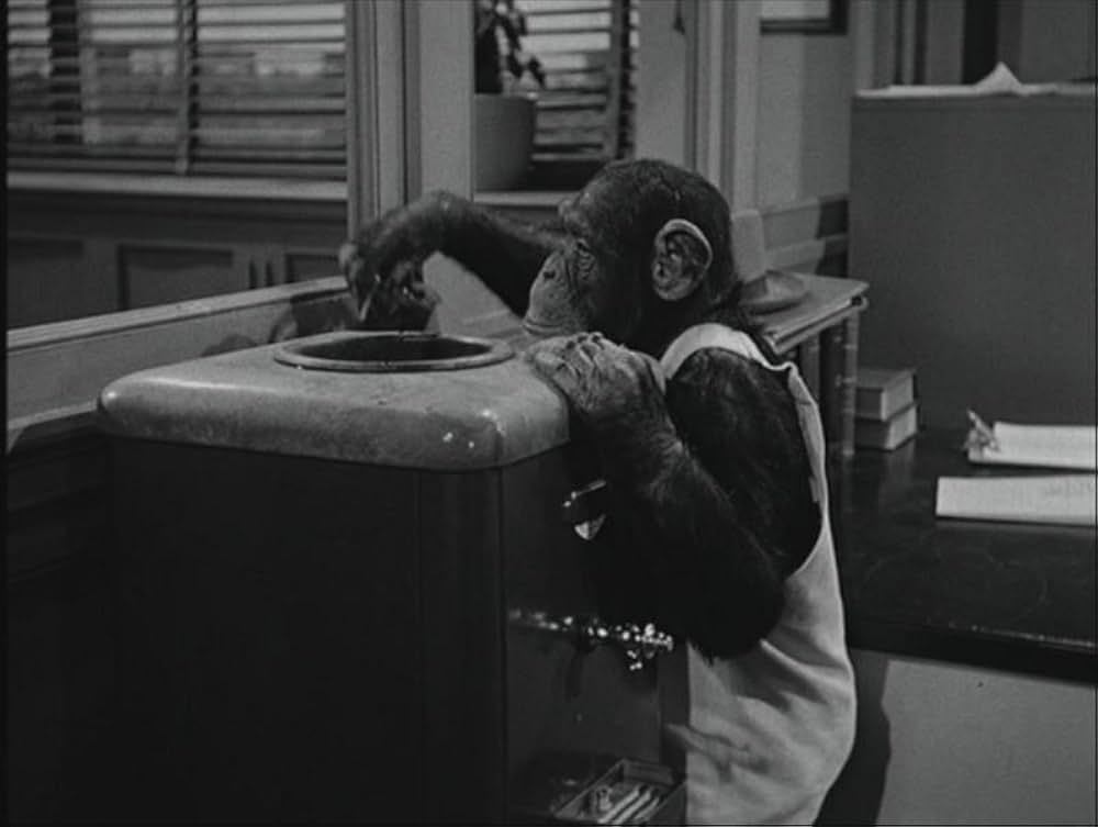 モンキー・ビジネスの画像