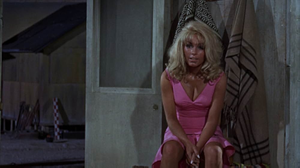 恐怖の48時間の画像