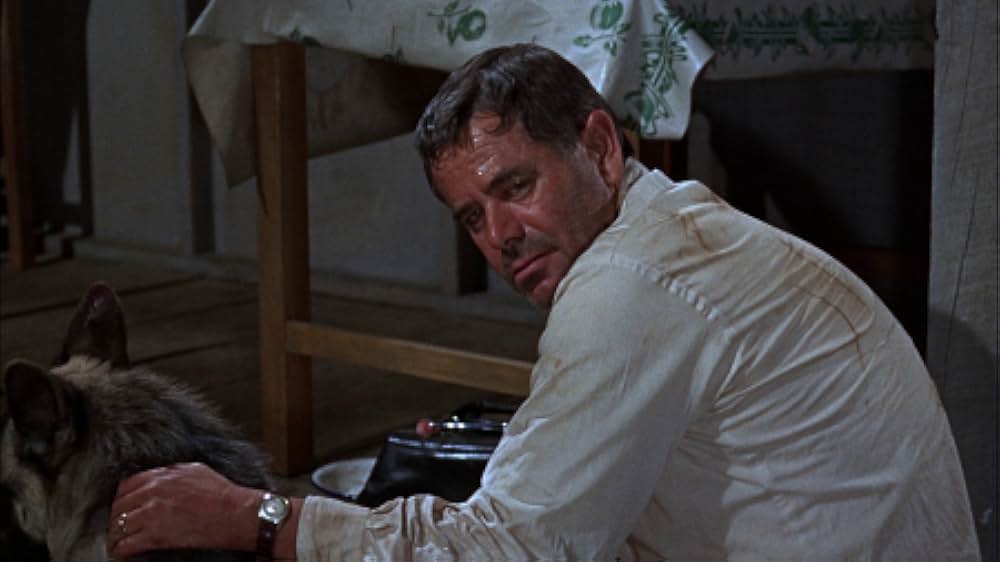 恐怖の48時間の画像