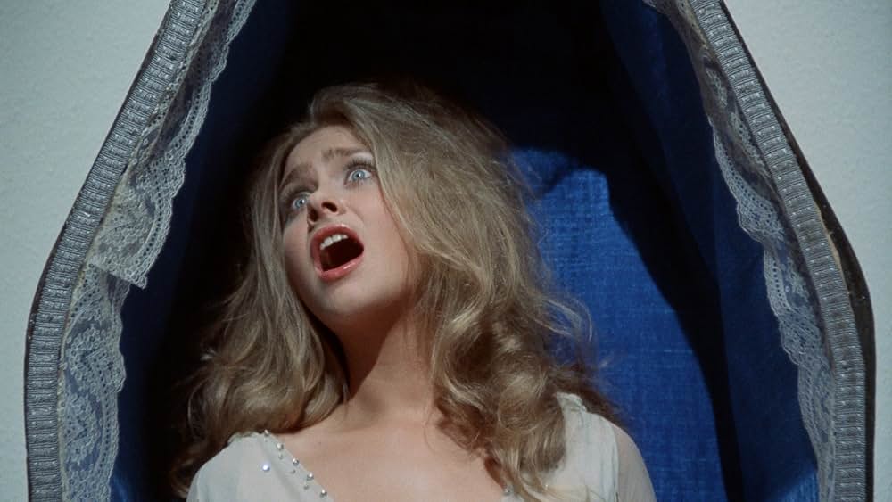 MR.バンピラ／眠れる棺の美女の画像