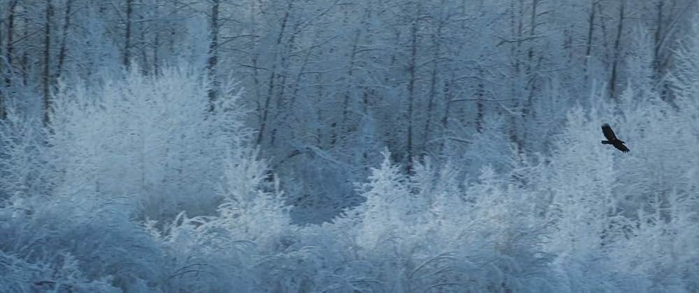Woman Walks Ahead（原題）の画像