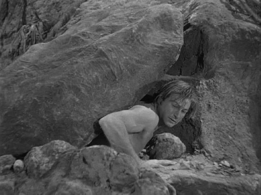 ターザンの憤激の画像