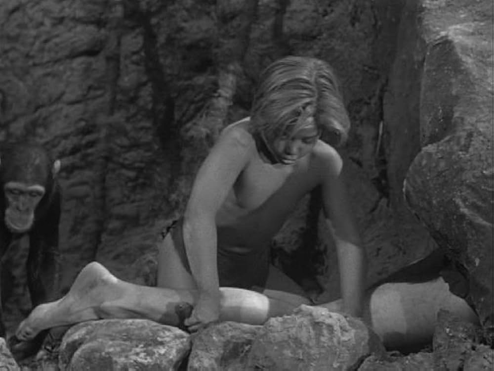 ターザンの憤激の画像