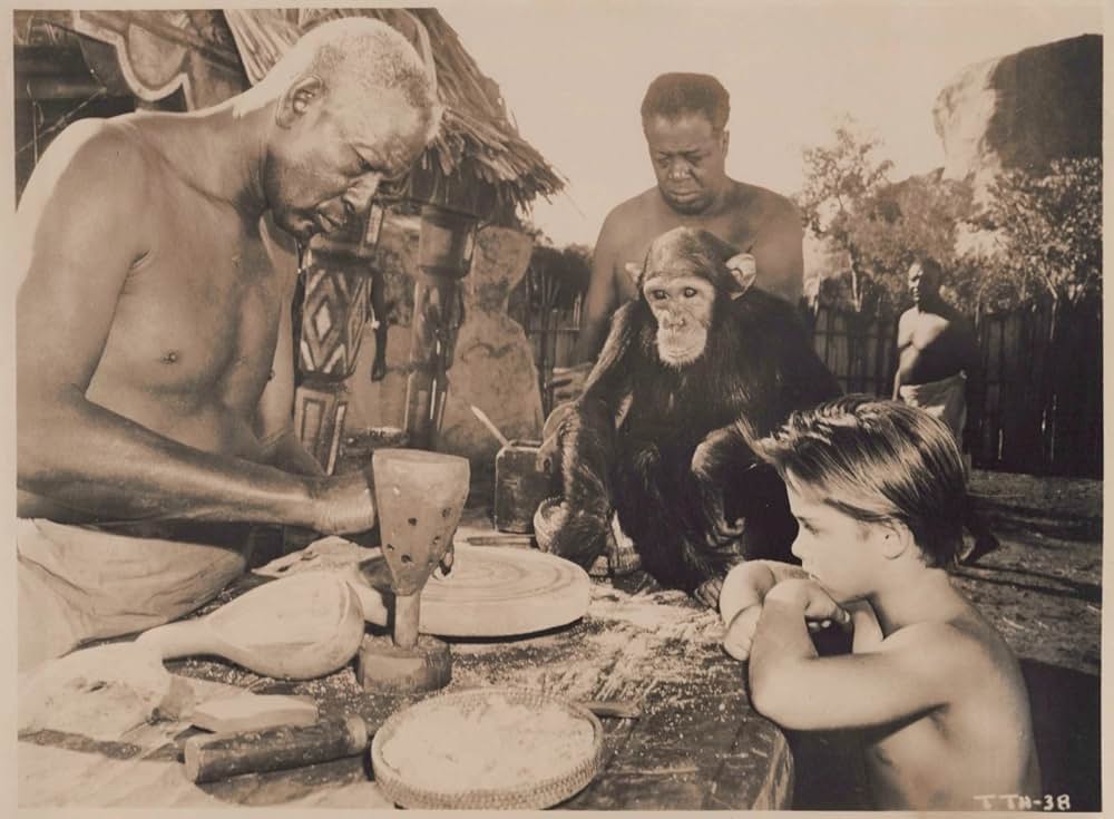 ターザンの憤激の画像