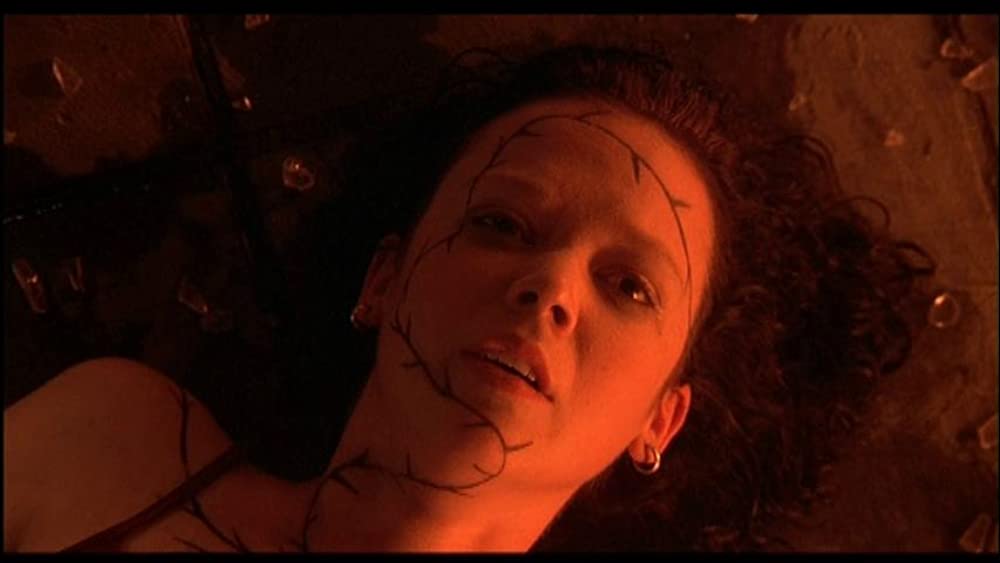 キャリー2の画像