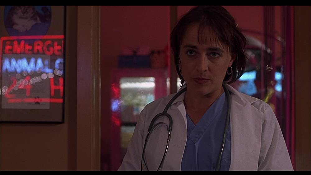 キャリー2の画像