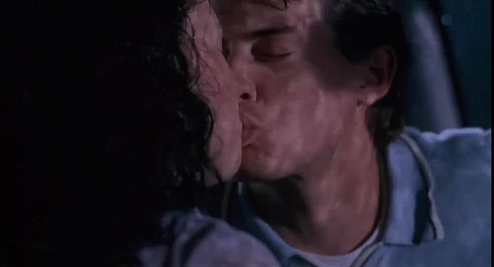 キャリー2の画像