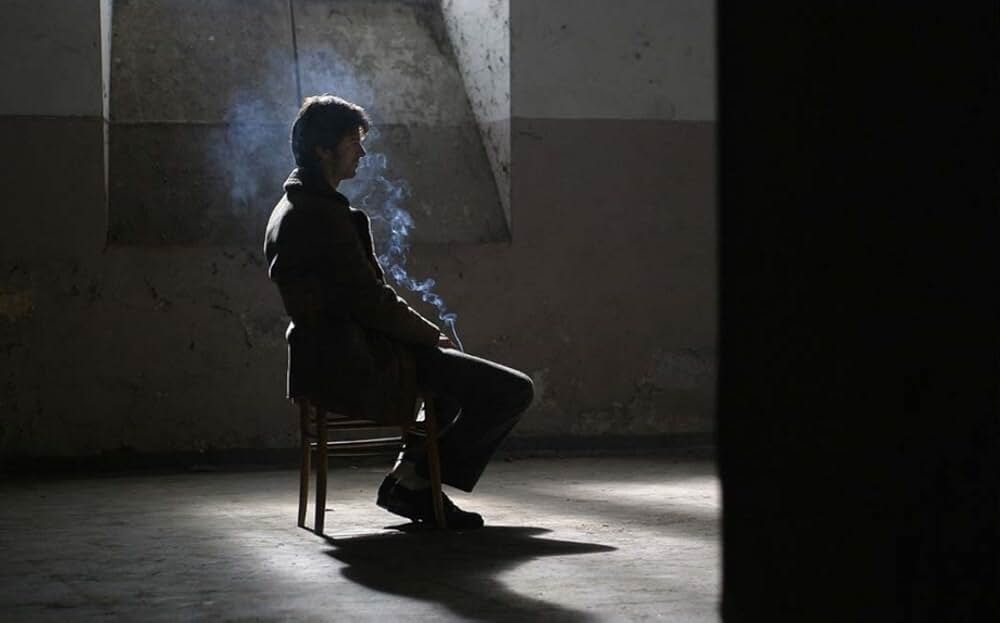 野良犬たちの掟の画像