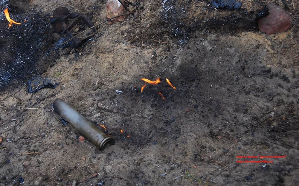 ブレスト要塞大攻防戦の画像