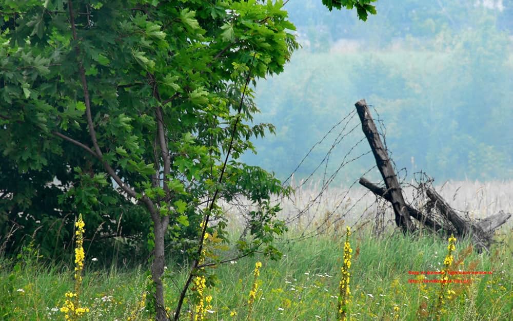 ブレスト要塞大攻防戦の画像