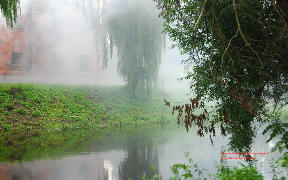 ブレスト要塞大攻防戦の画像