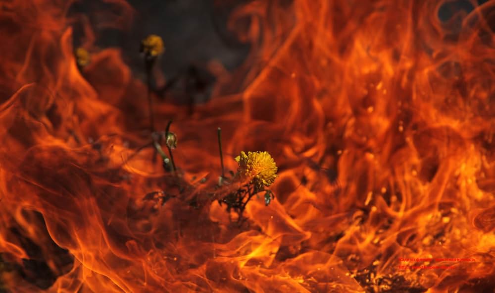 ブレスト要塞大攻防戦の画像