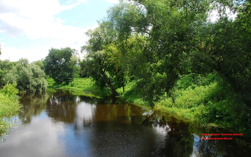 ブレスト要塞大攻防戦の画像