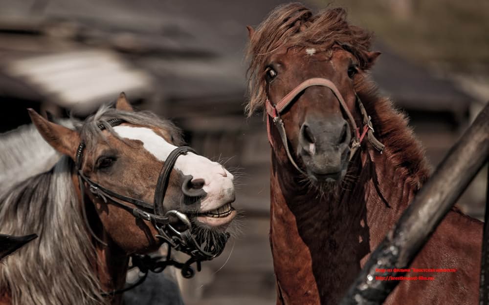 ブレスト要塞大攻防戦の画像