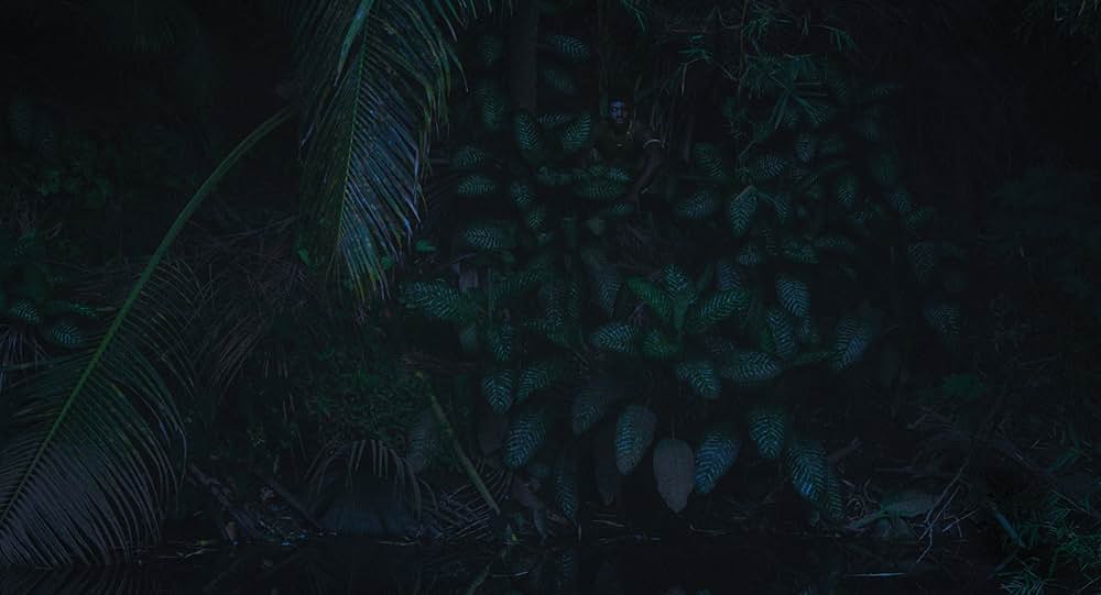 Disco Boy（原題）の画像