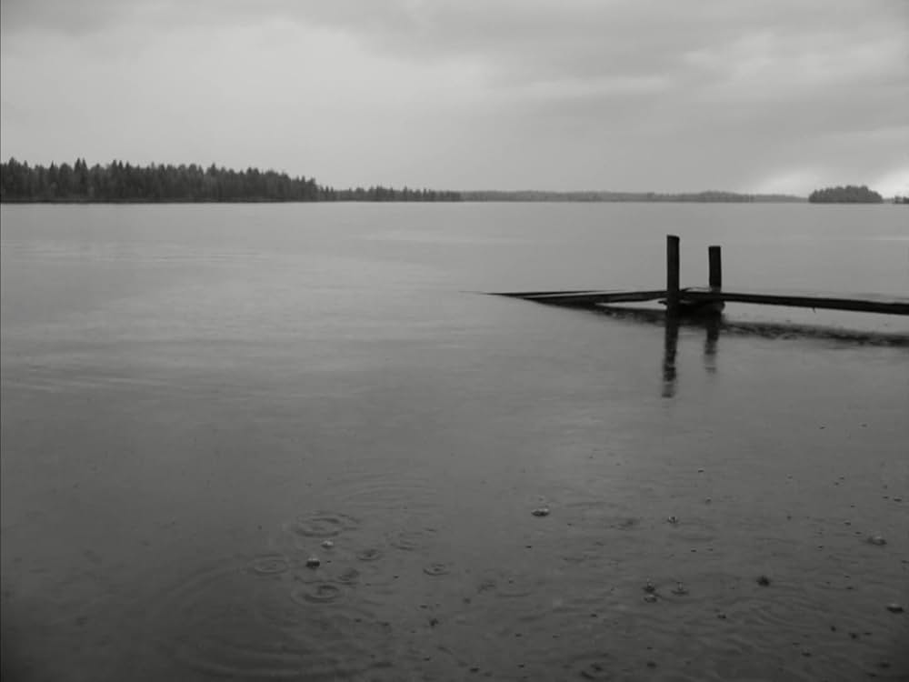 イェヴィダの画像