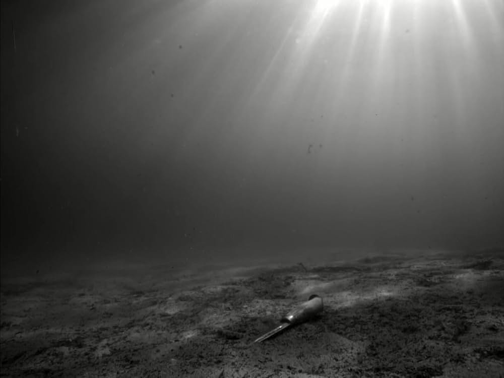 イェヴィダの画像