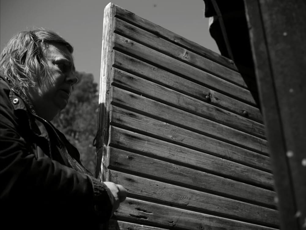 イェヴィダの画像