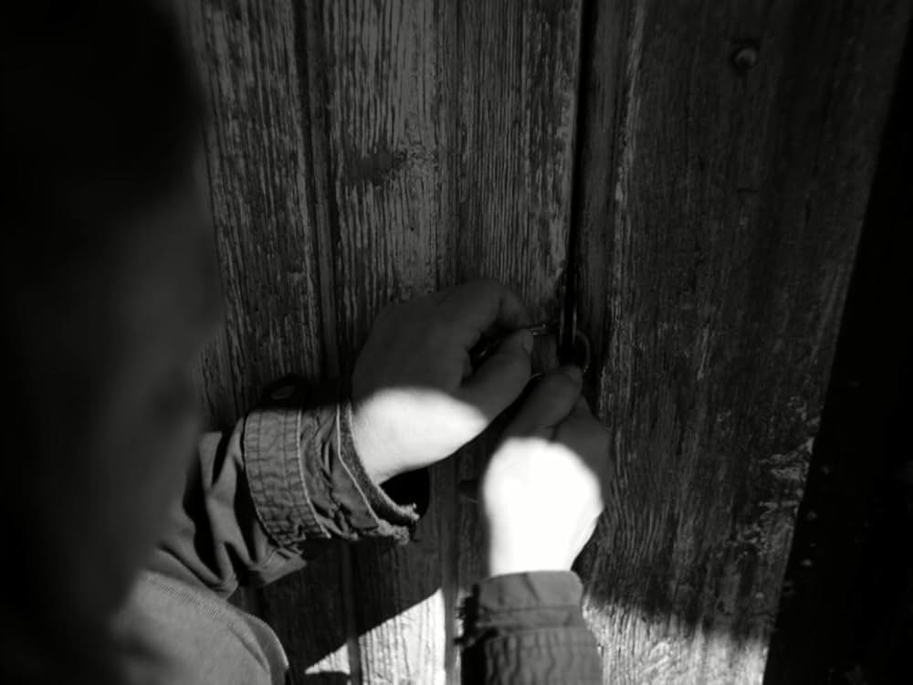 イェヴィダの画像