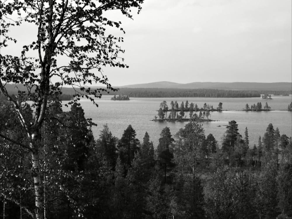 イェヴィダの画像