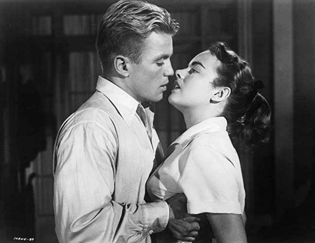 愛しのシバよ帰れの画像