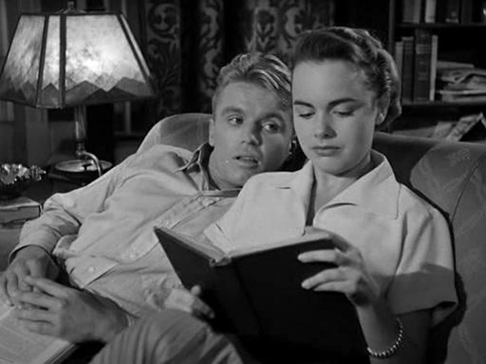 愛しのシバよ帰れの画像