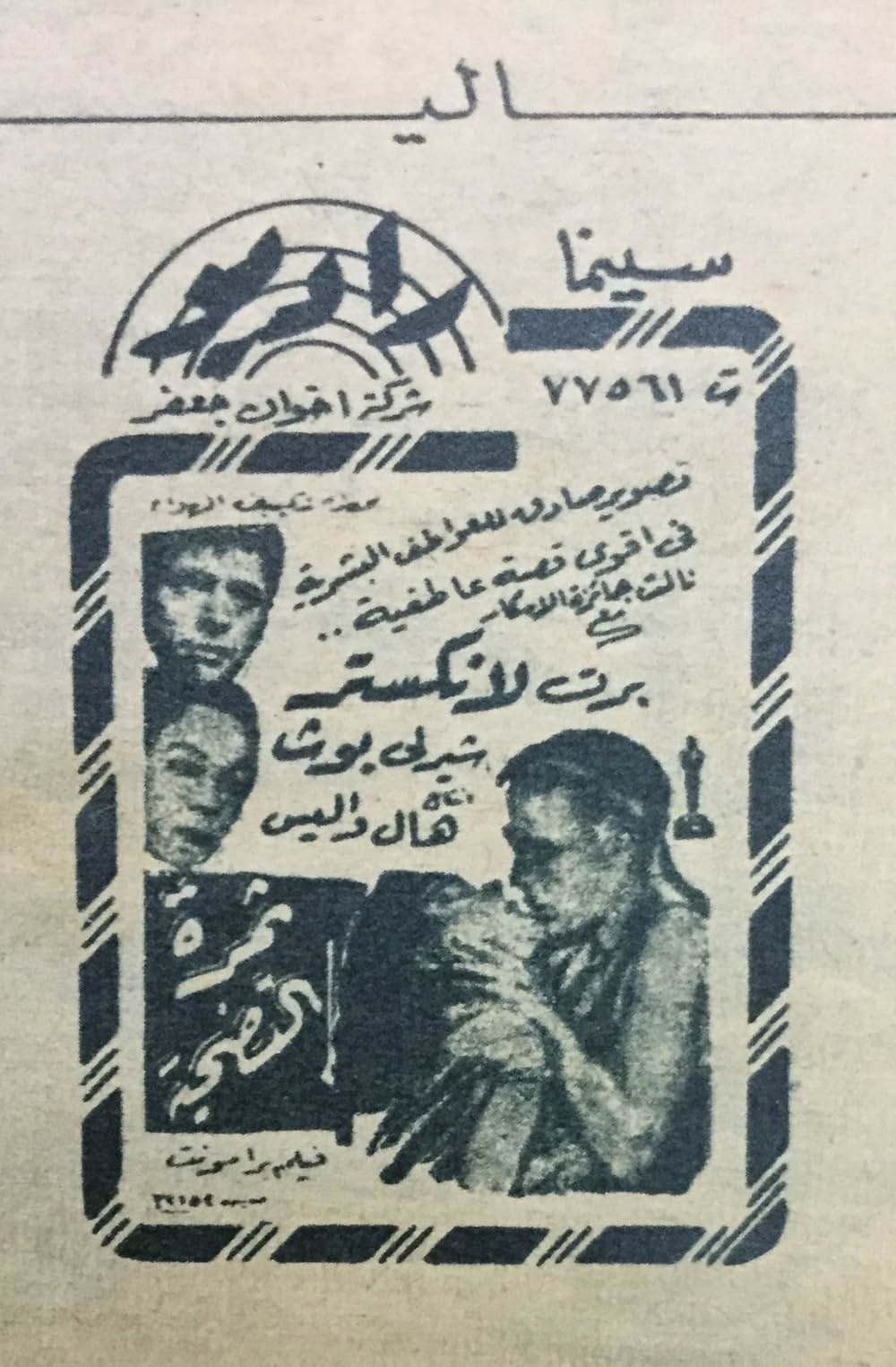 愛しのシバよ帰れの画像