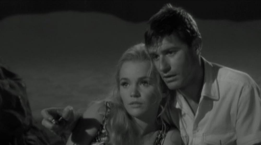 スター誕生の夢の画像