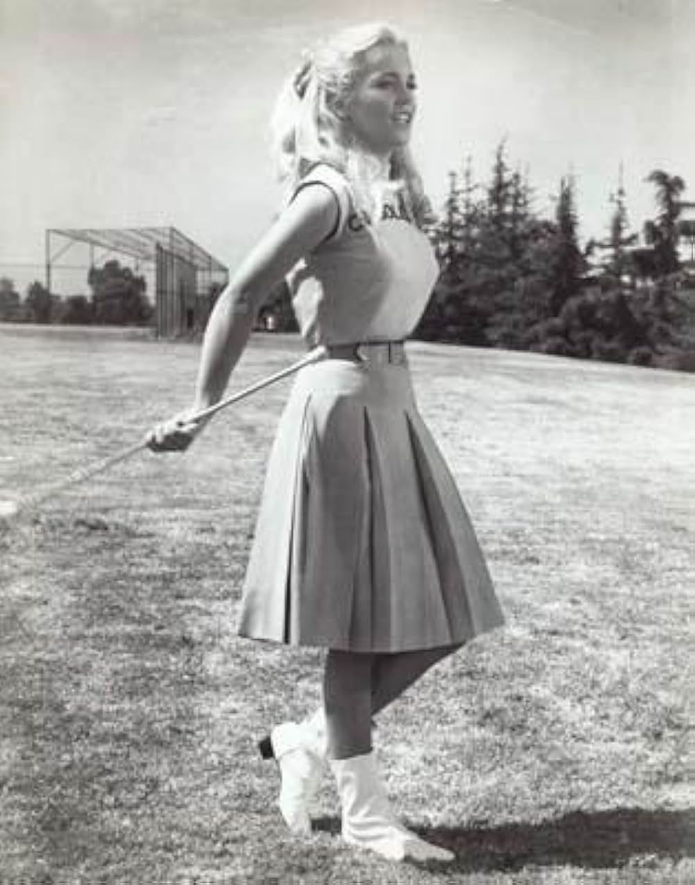 スター誕生の夢の画像