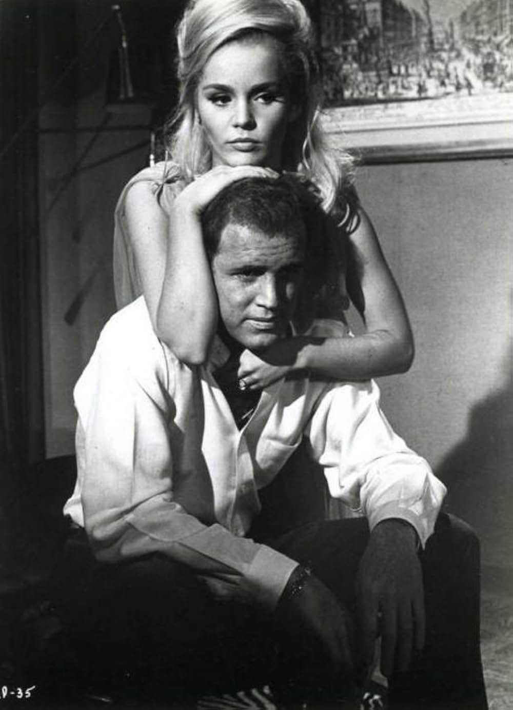 スター誕生の夢の画像