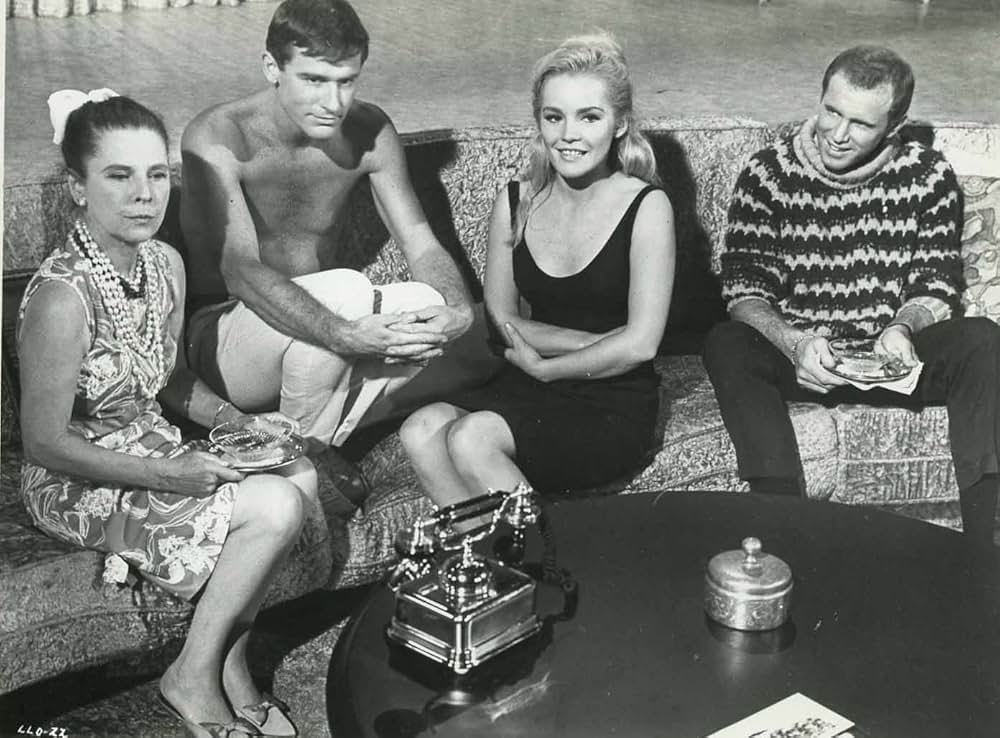 スター誕生の夢の画像