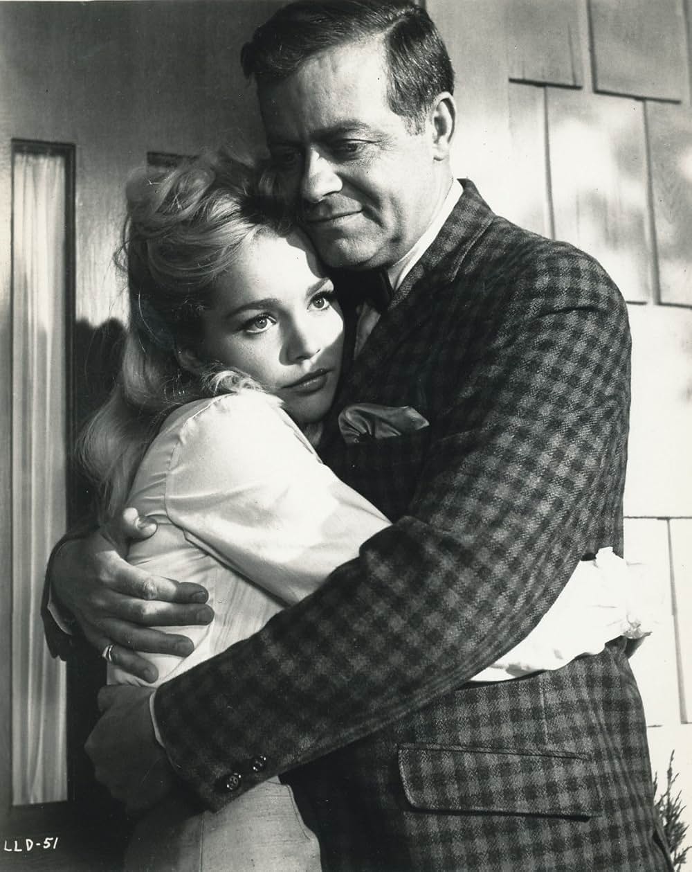 スター誕生の夢の画像