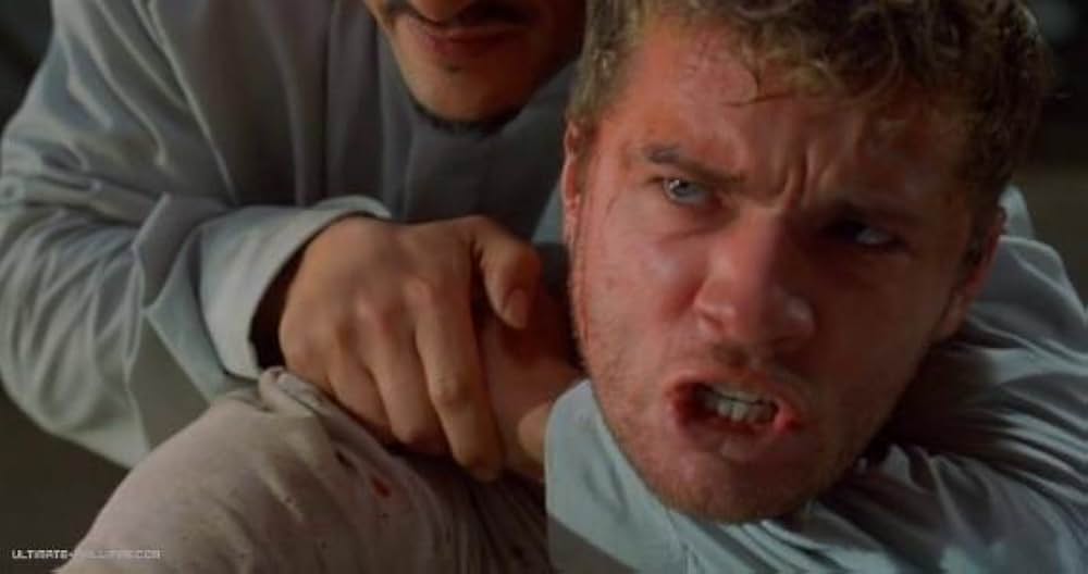 「5フィンガーズ」の画像