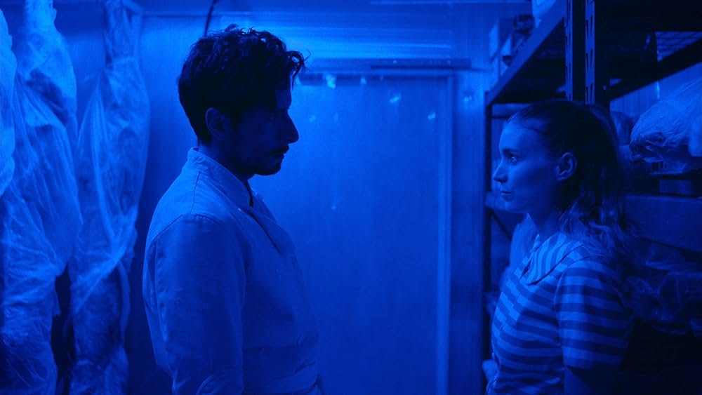 ラ・コシーナ／厨房の画像